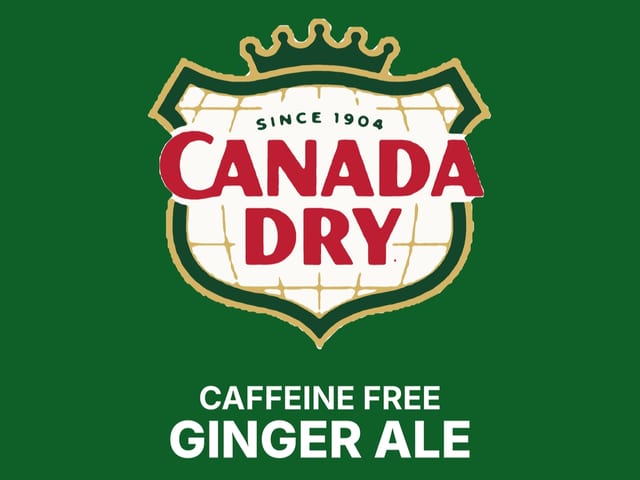 Can Soda Ginger Ale.